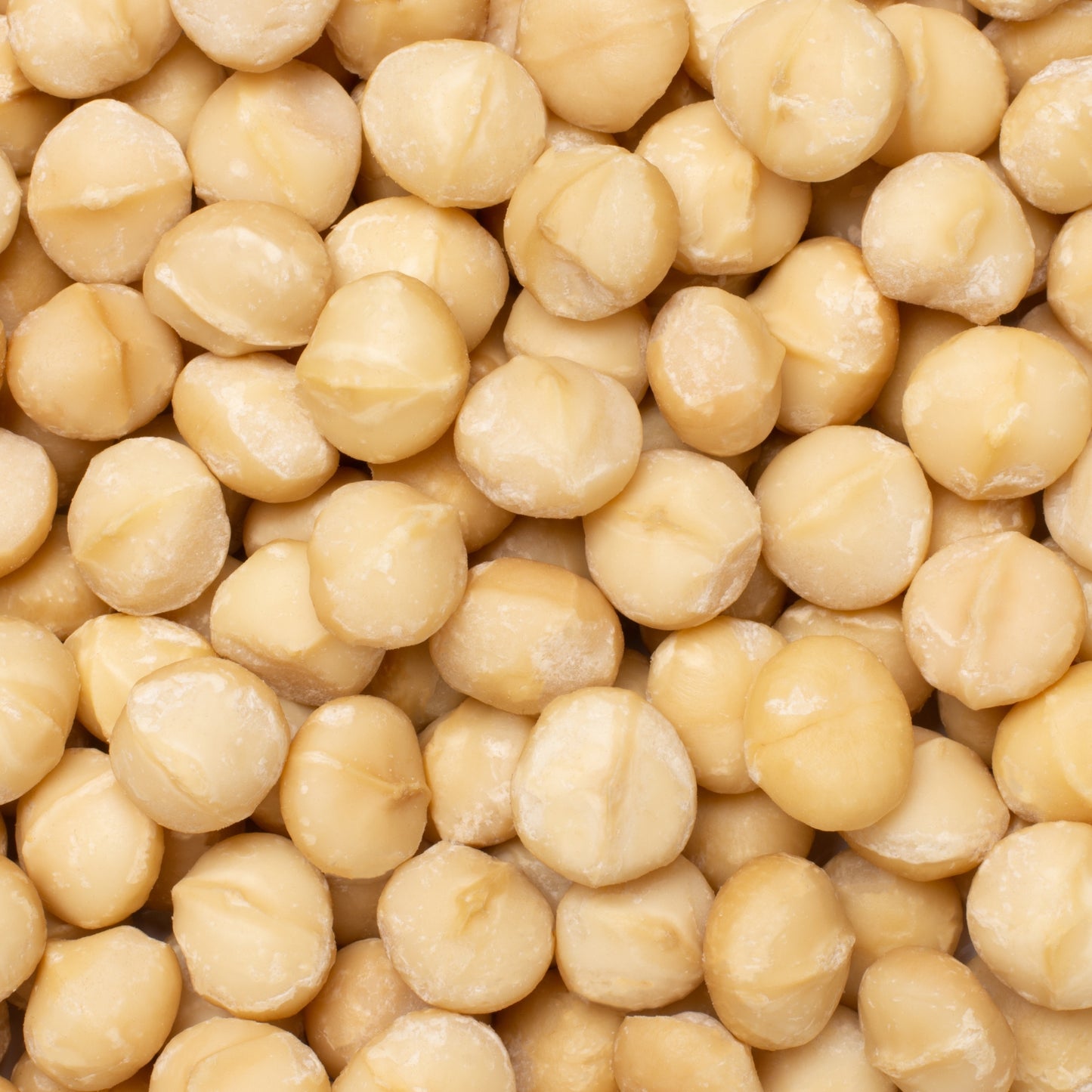 Macadamia Nuts - Raw
