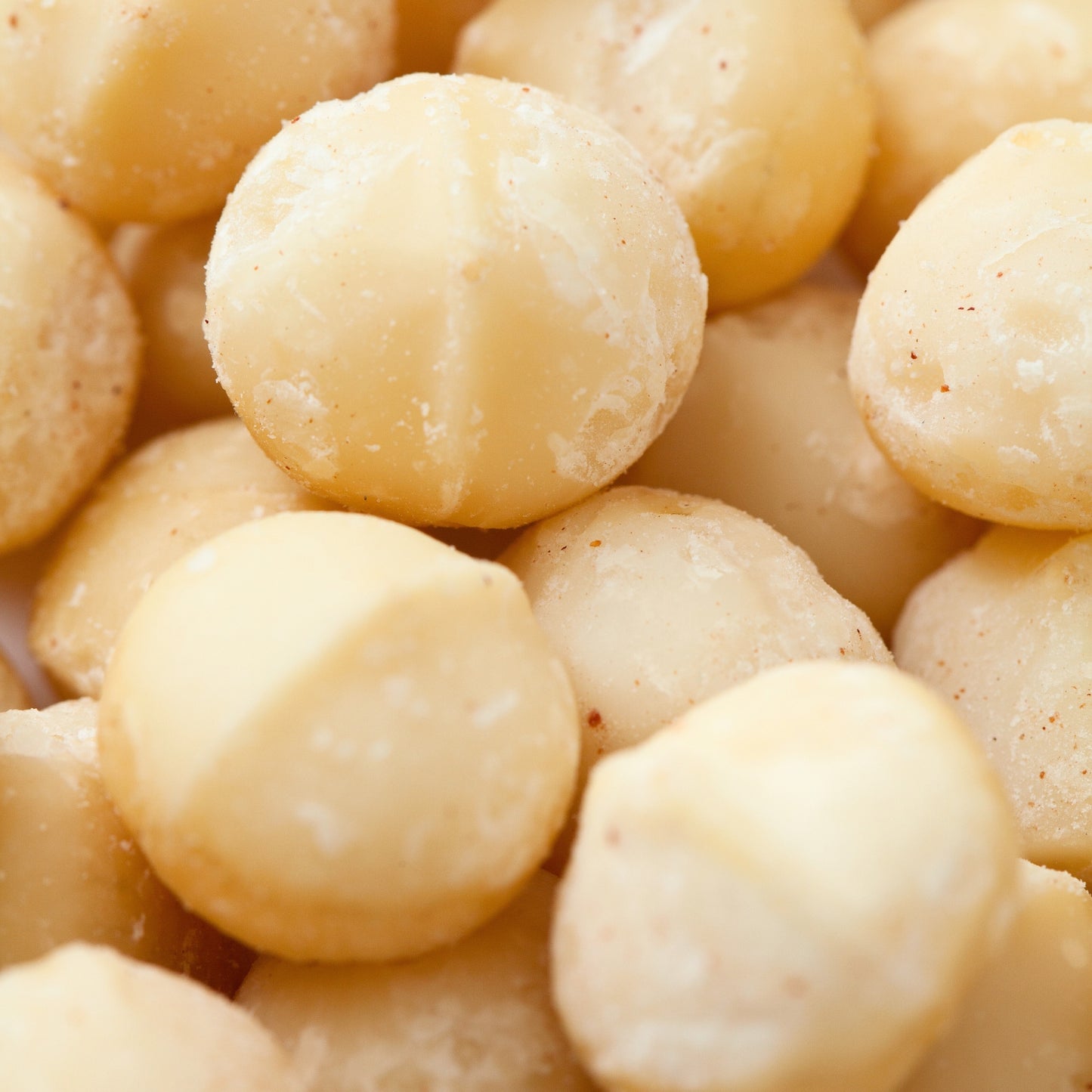 Macadamia Nuts - Roasted & Salted